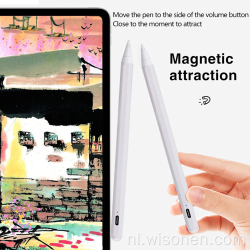 Beste capacitieve styluspen voor Apple iPad